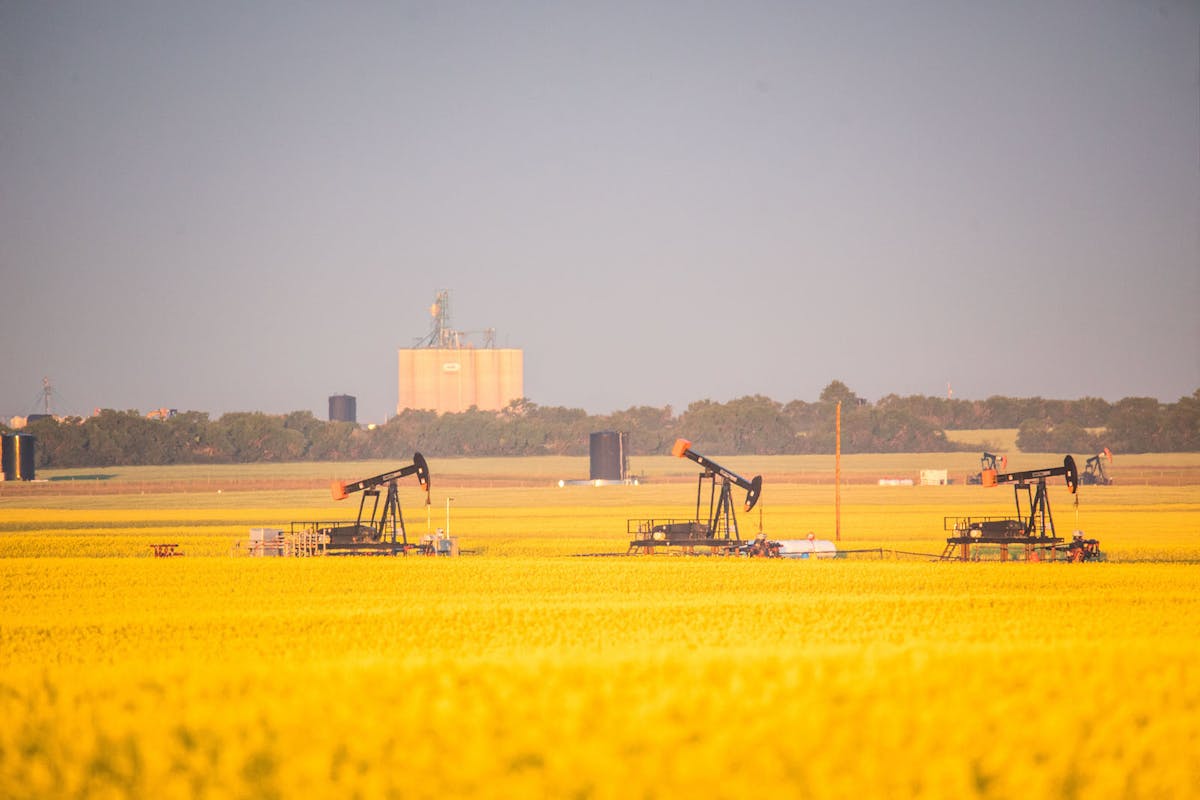 A field in evening sunlight, with oil machinery in the background.