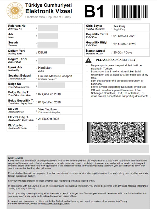 turkey e-visa sample image