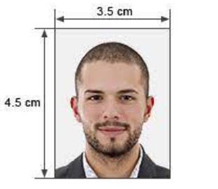 Netherlands visa photo size