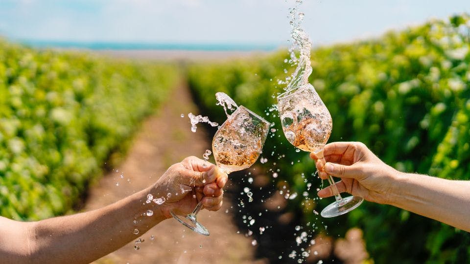 Wine tasting in Kakheti