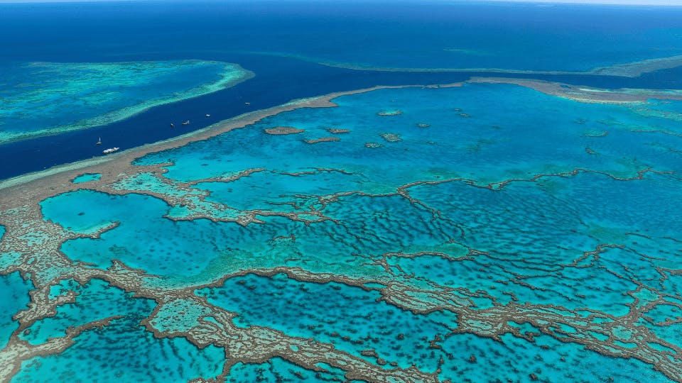 Great Barrier Reef: A Natural Wonder