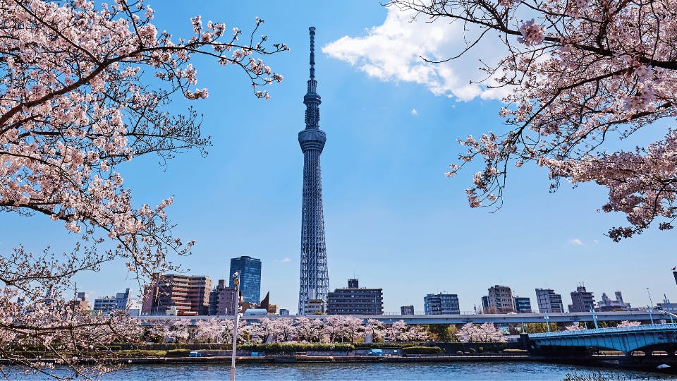 Tokyo - The Capital of Japan