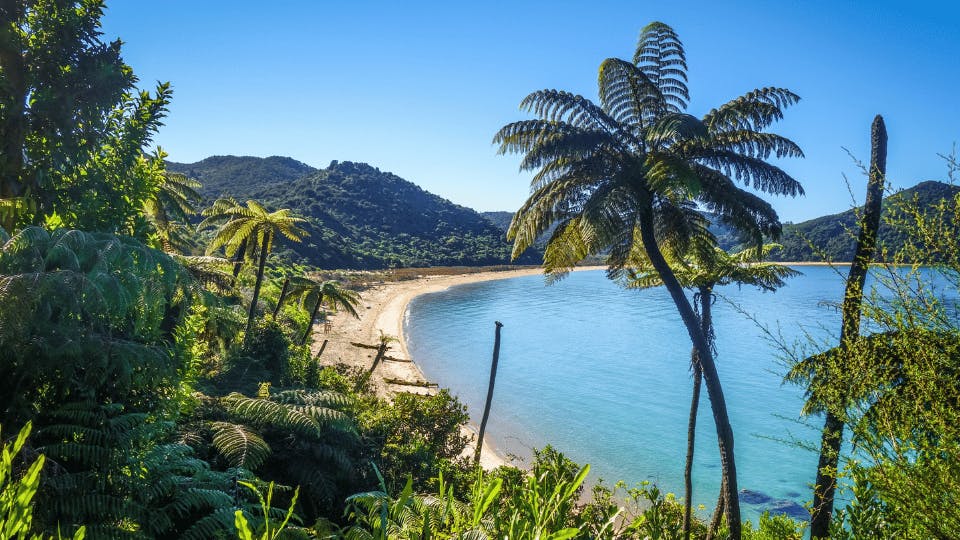 Abel Tasman National Park