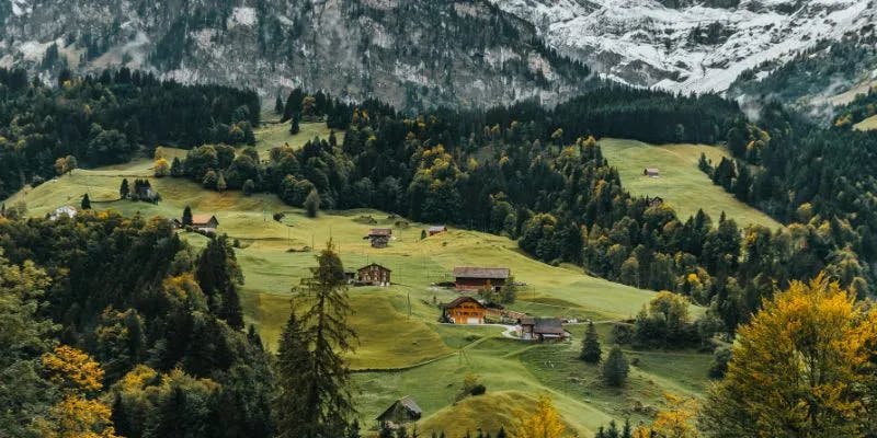 Lush hillside with scattered houses and autumn trees in Switzerland