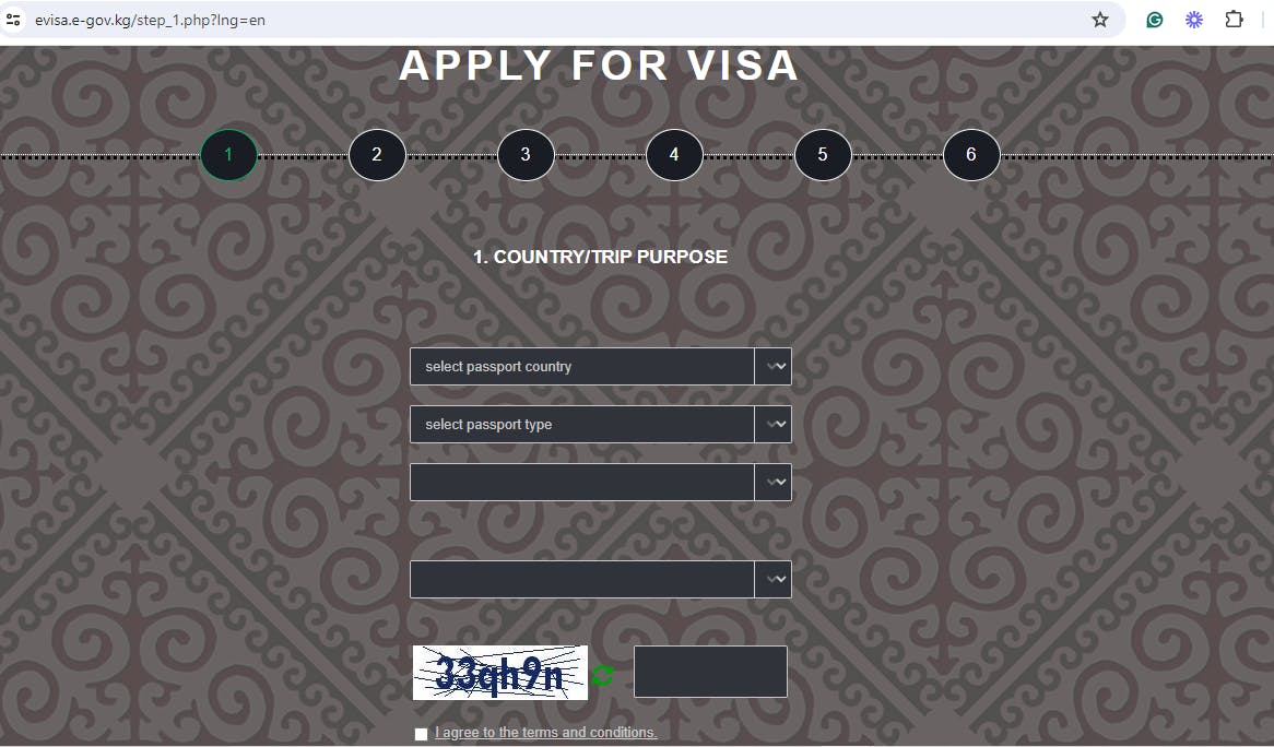 Kyrgyzstan e-Visa Application Page