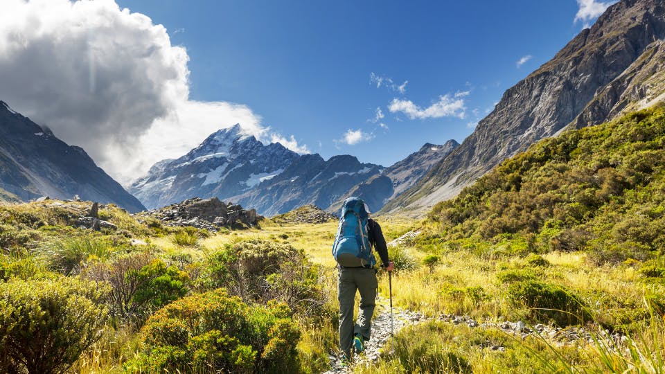 Trek in New Zealand