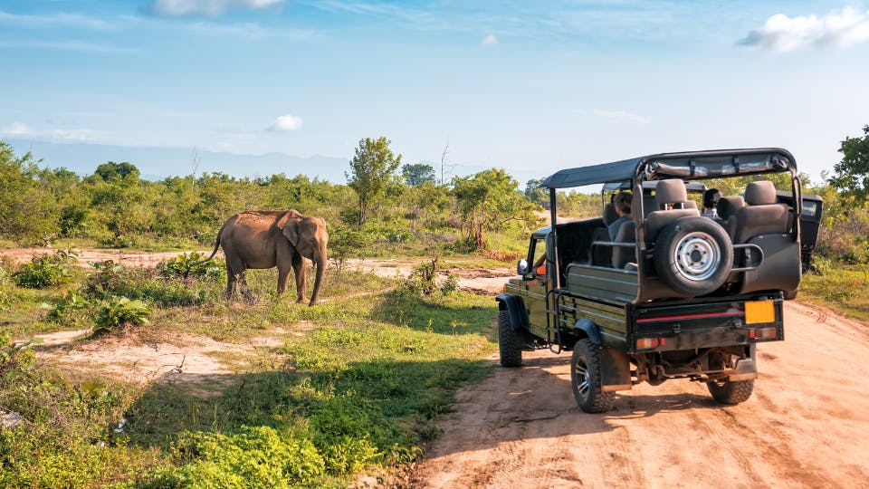 Safari vehicle near elephant in Sri Lanka.