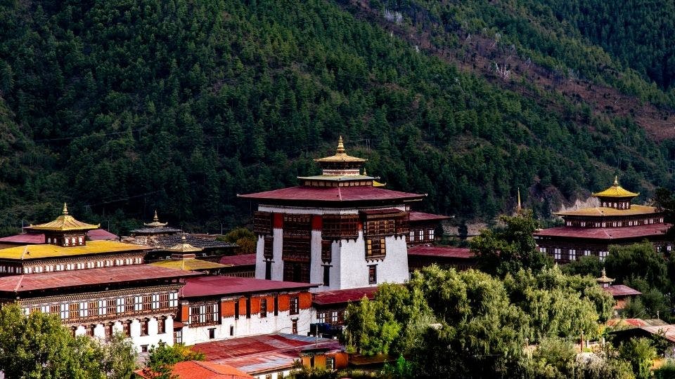 Traditional temple buildings surrounded by lush forest.