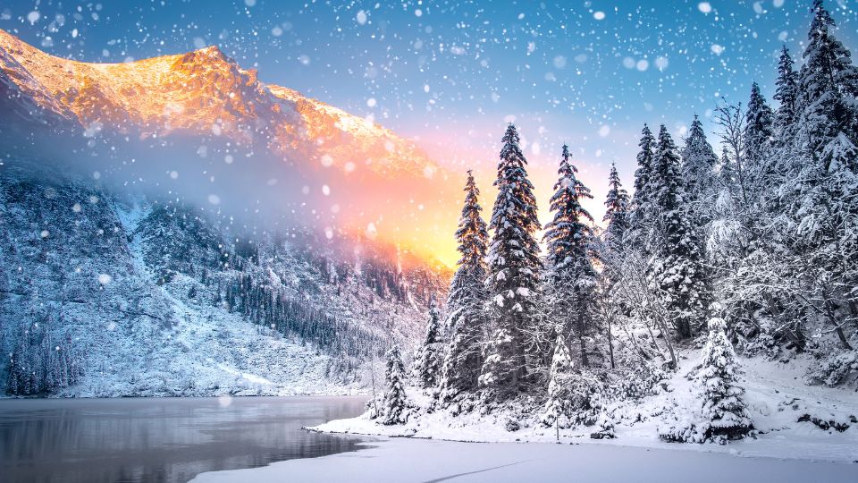 18 Best Countries to Visit in January from India in 2025