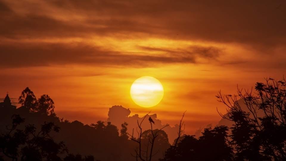 Sunset with silhouetted trees