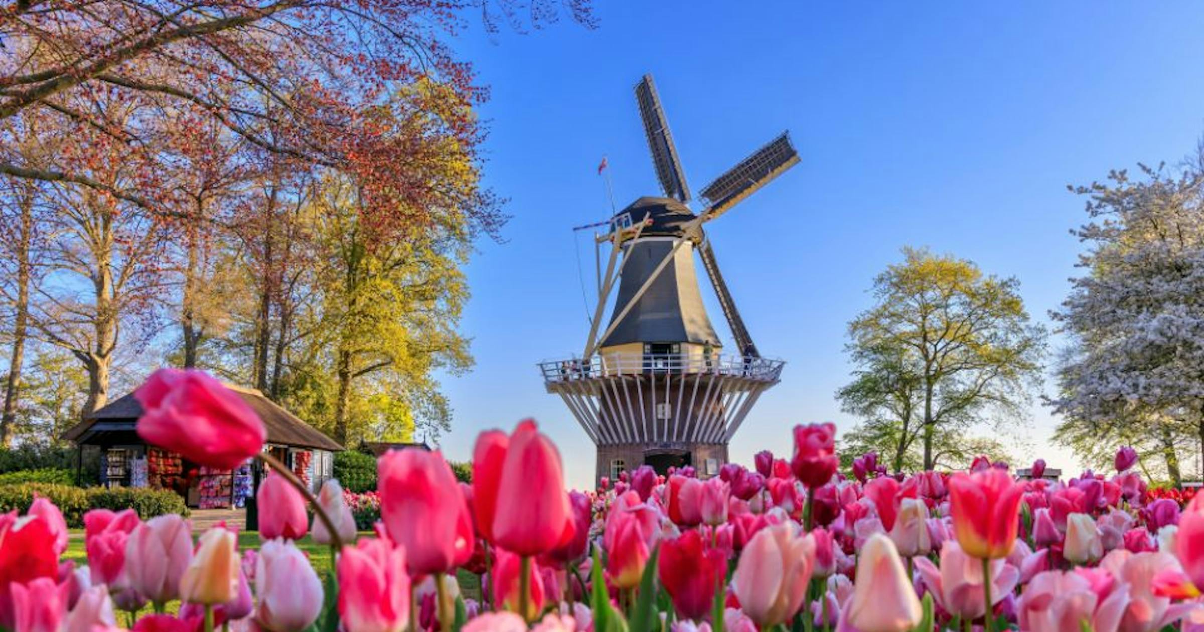 Netherlands Visa Processing Time Tourist Business Student netherlands-visa-processing-time-tourist-business-student