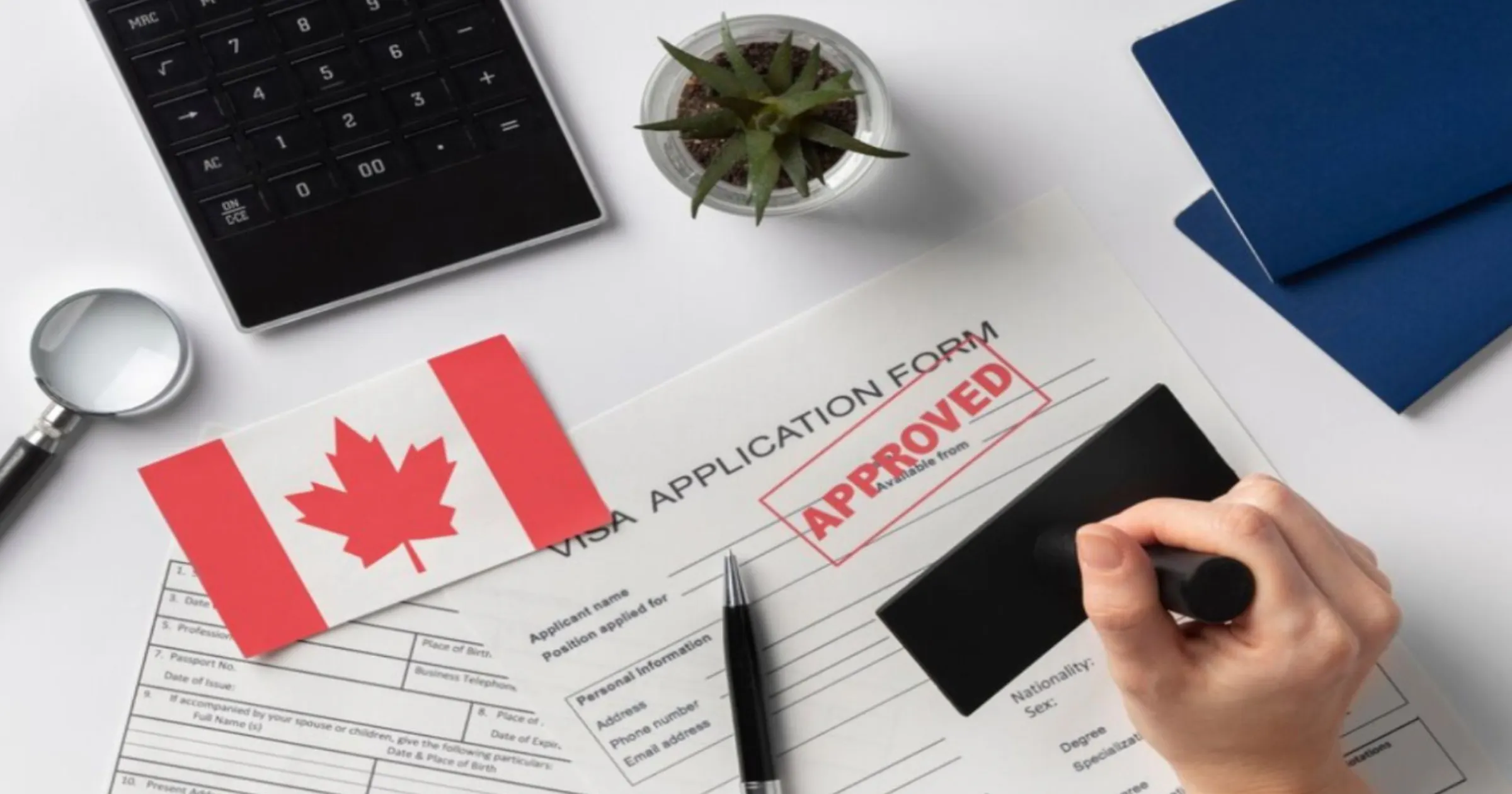 Applicant Sample Checklist Sample Cover Letter In Canada — Iies
