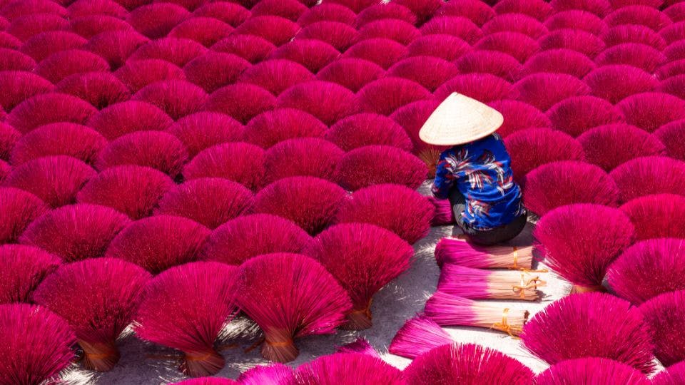 Worker arranging pink incense sticks outdoors.