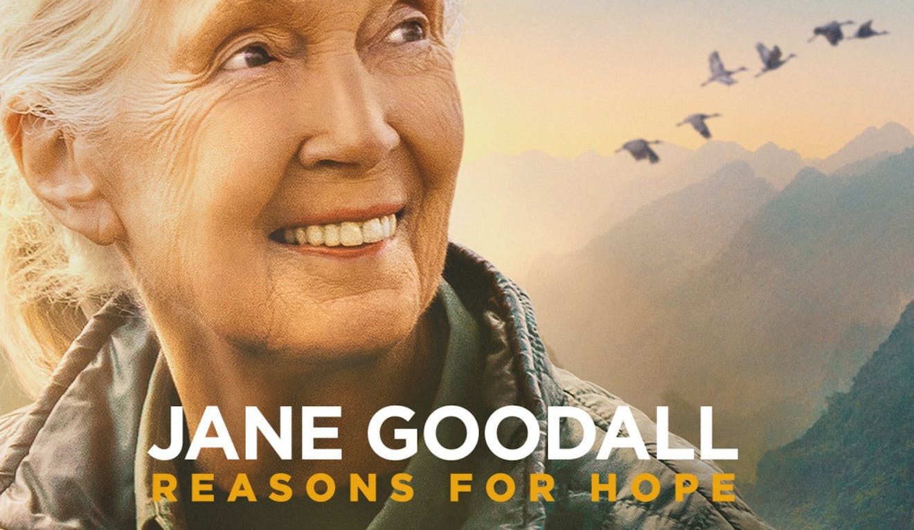 A movie poster of Jane Goodall shows her looking off into the distance with misty mountains and birds in the background. It shows the title 'JANE GOODALL REASONS FOR HOPE' in bold, capital letters at the bottom centre of the poster. Underneath that, it says "If you're going to do a thing, give it all you have."