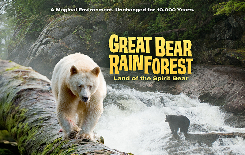 Great Bear Rainforest