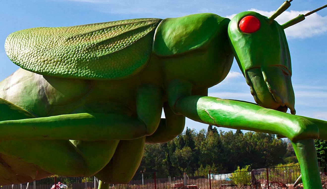 A giant fake grasshopper stands on display outside.