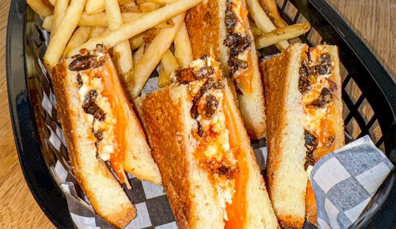 A grilled cricket cheese sandwich and french fries.