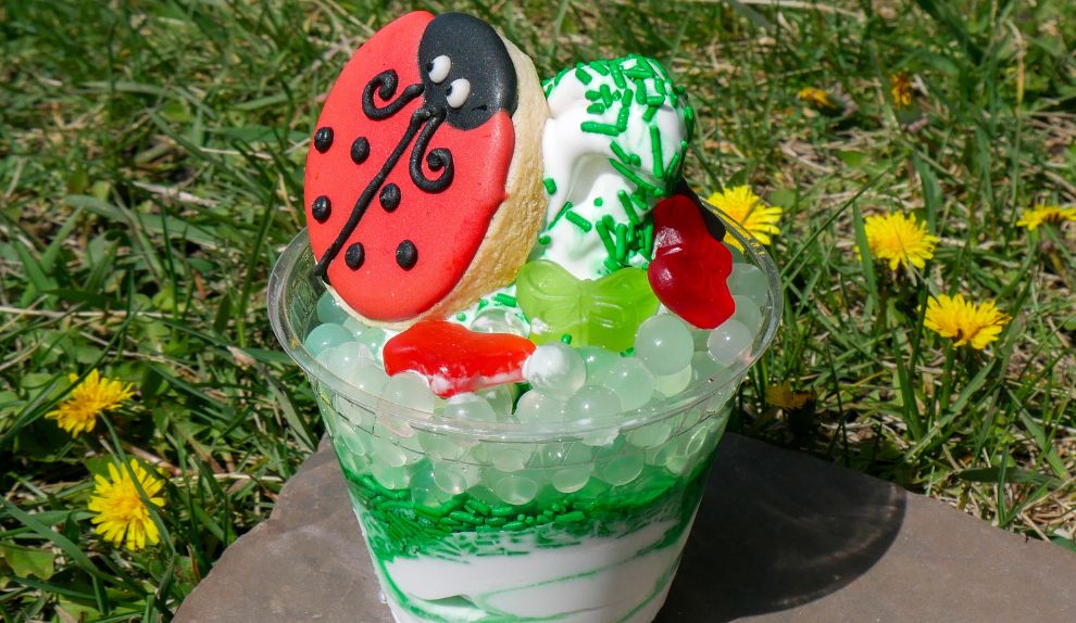 New "bugscream" treat for the summer at TELUS Spark.