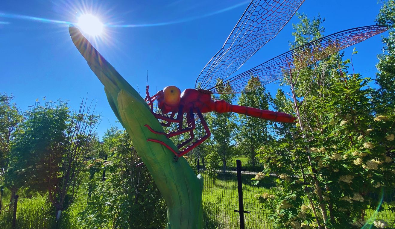 A giant fake dragon fly at TELUS Spark