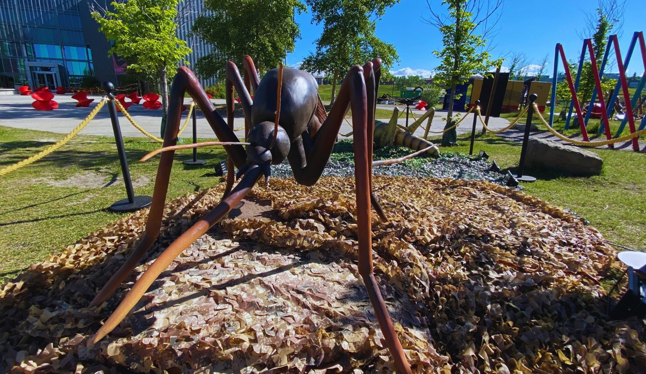 A giant fake mosquito at TELUS Spark
