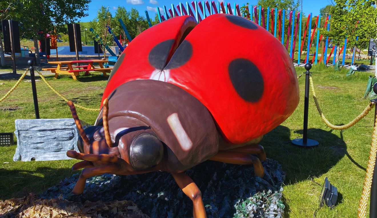 A giant fake lady bug at TELUS Spark