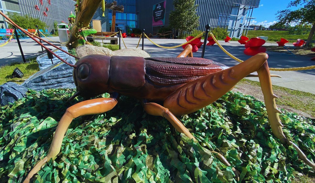 A giant fake lady bug at TELUS Spark
