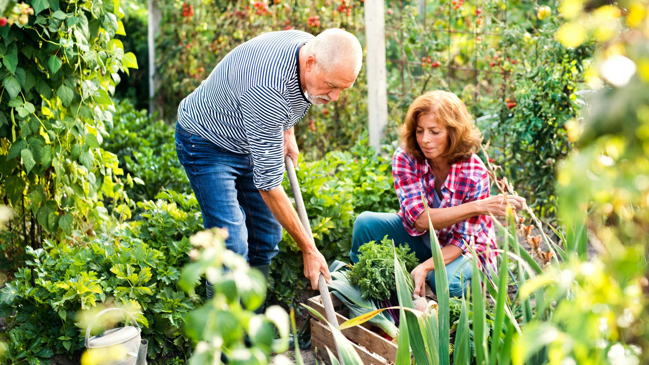 How David kept his home in retirement