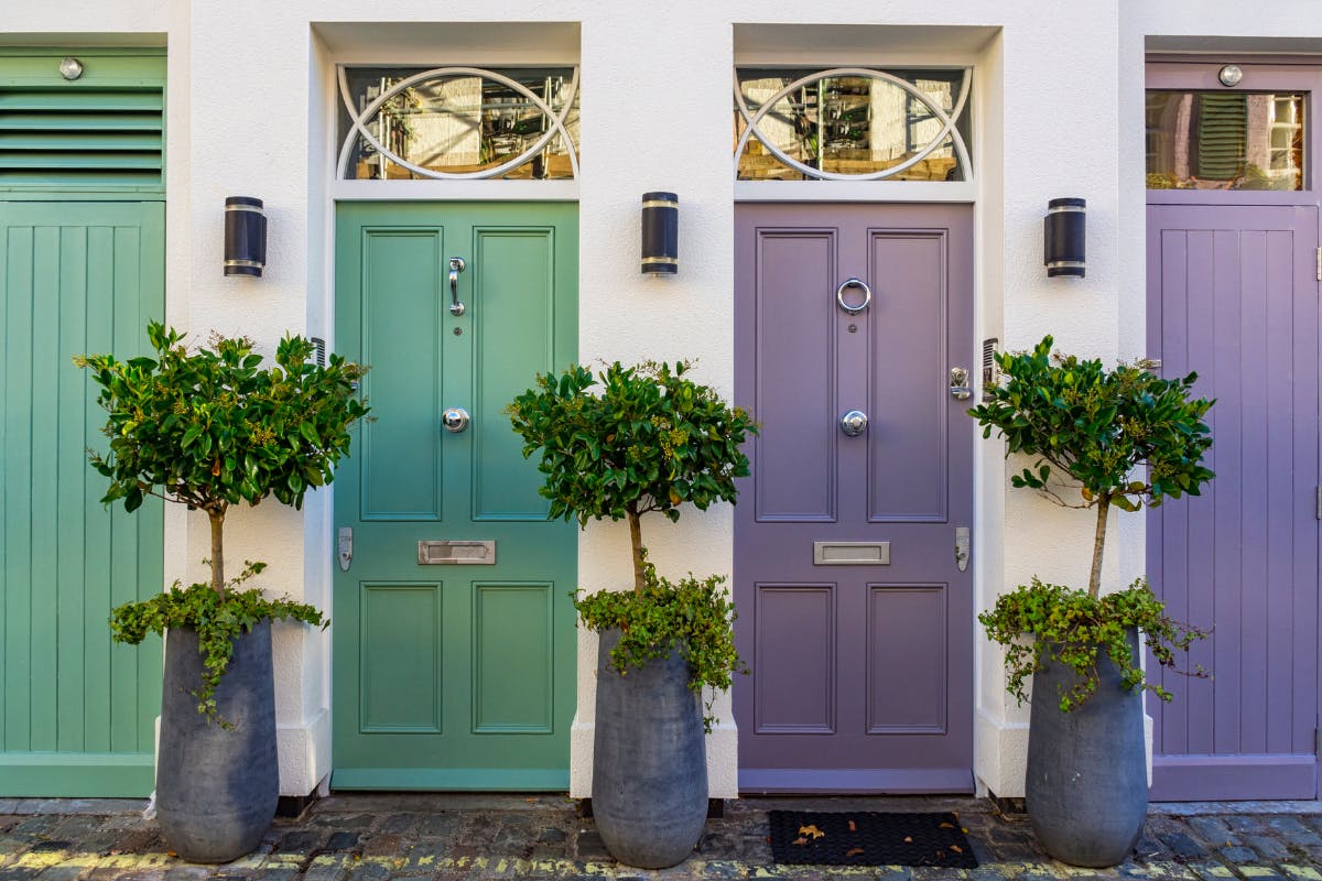 Two front doors, one green and one purple with 3 small, potted trees. 