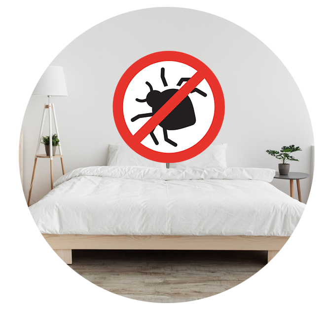 traitement anti punaises de lit