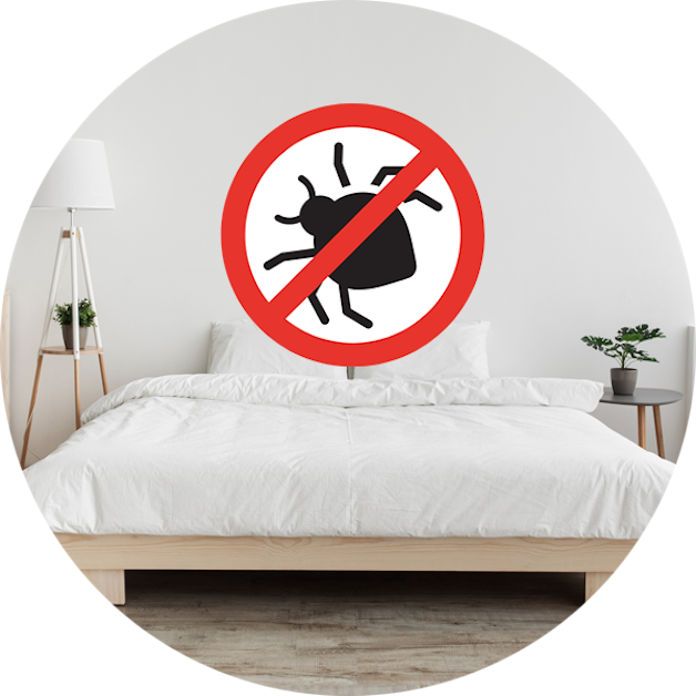 traitement anti punaises de lit