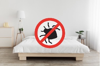 traitement punaises de lit