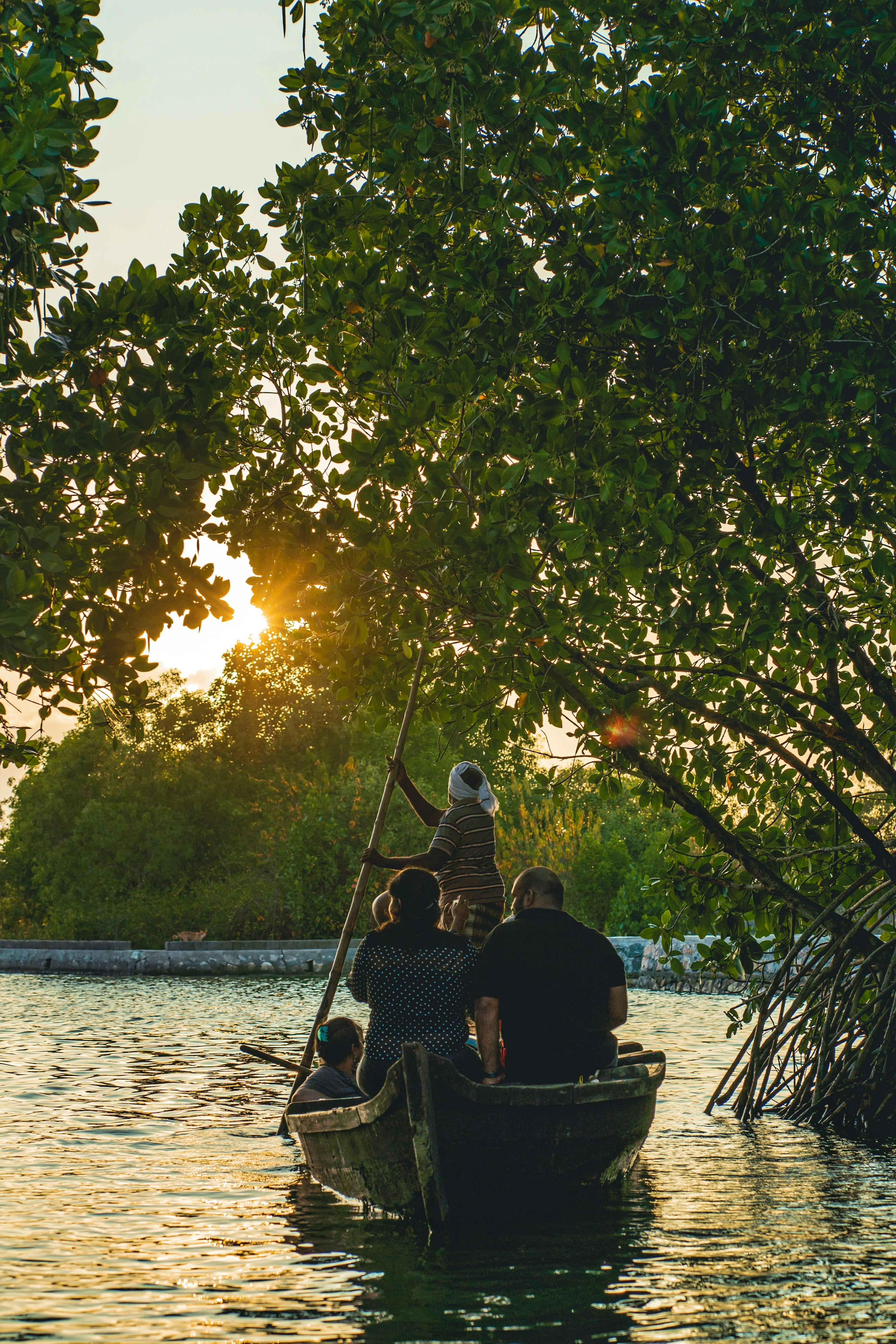 attractions near terratone