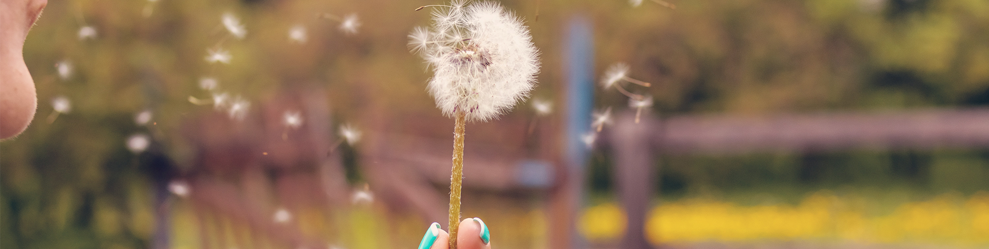 7 Tips to Help Avoid Hay Fever