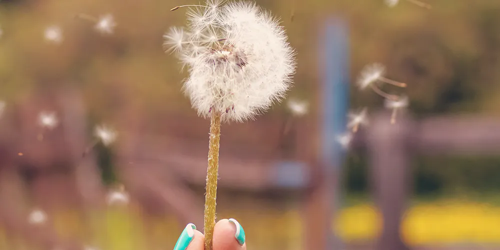 7 Tips to Help Avoid Hay Fever