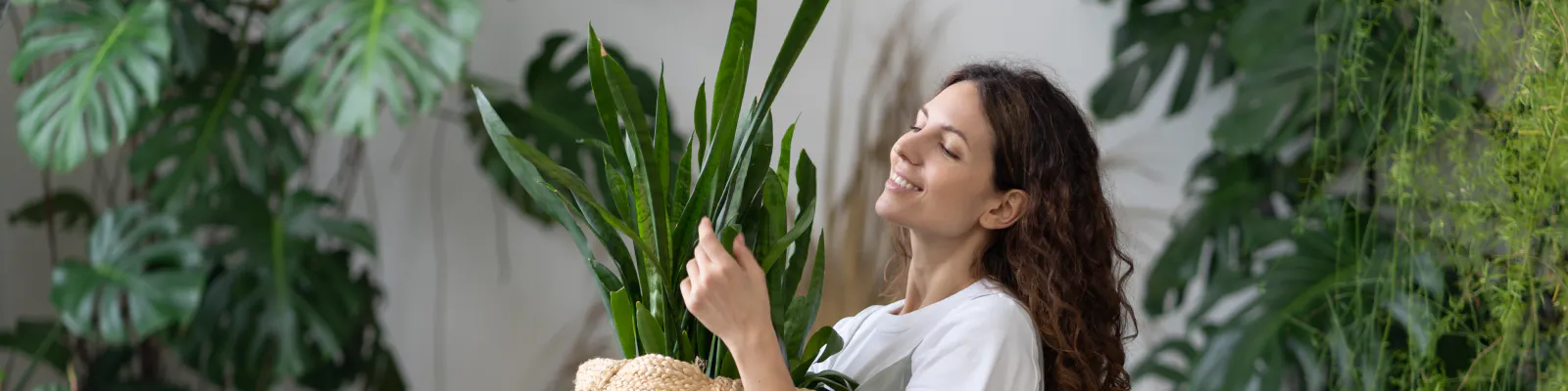 Looking for some new food-free treats?