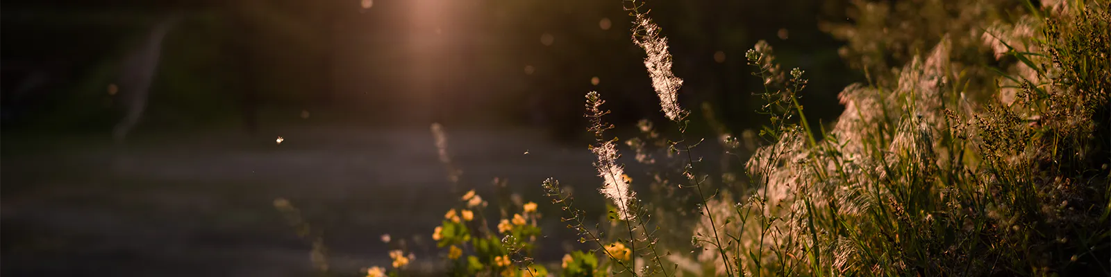 When hay fever strikes, try dual therapy