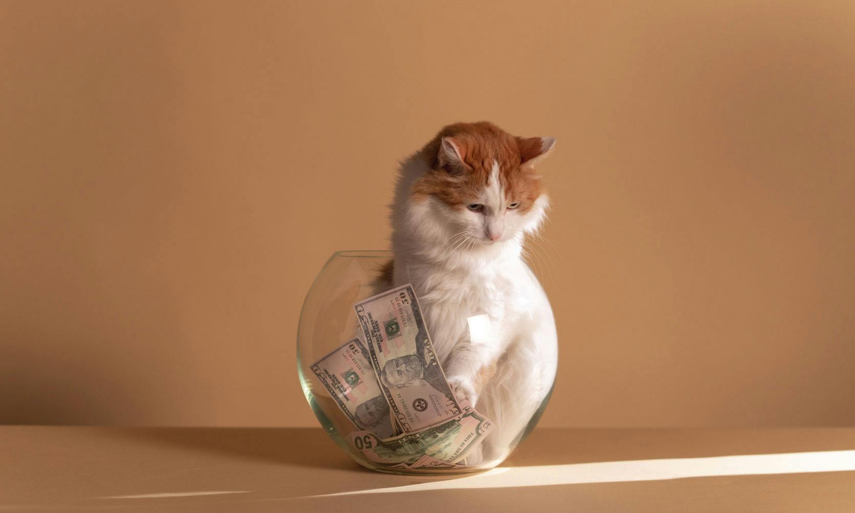 Comment faire son bilan comptable en ligne gratuitement ?