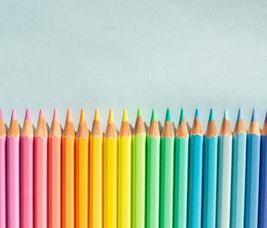 SCI et TVA : tout comprendre sur les règles fiscales