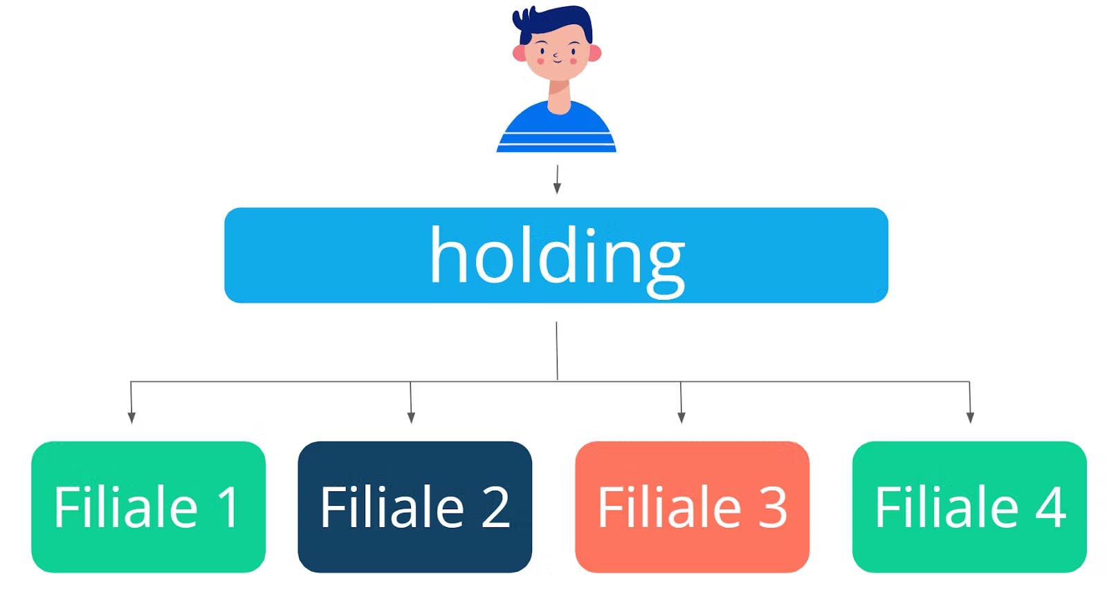 Comment fonctionne la comptabilité d'une SCI détenue par une holding