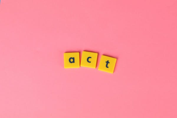 Création de SASU en ligne : tout ce qu’il faut savoir