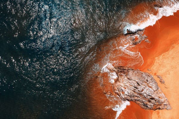 Comment choisir son régime de TVA en SAS ?