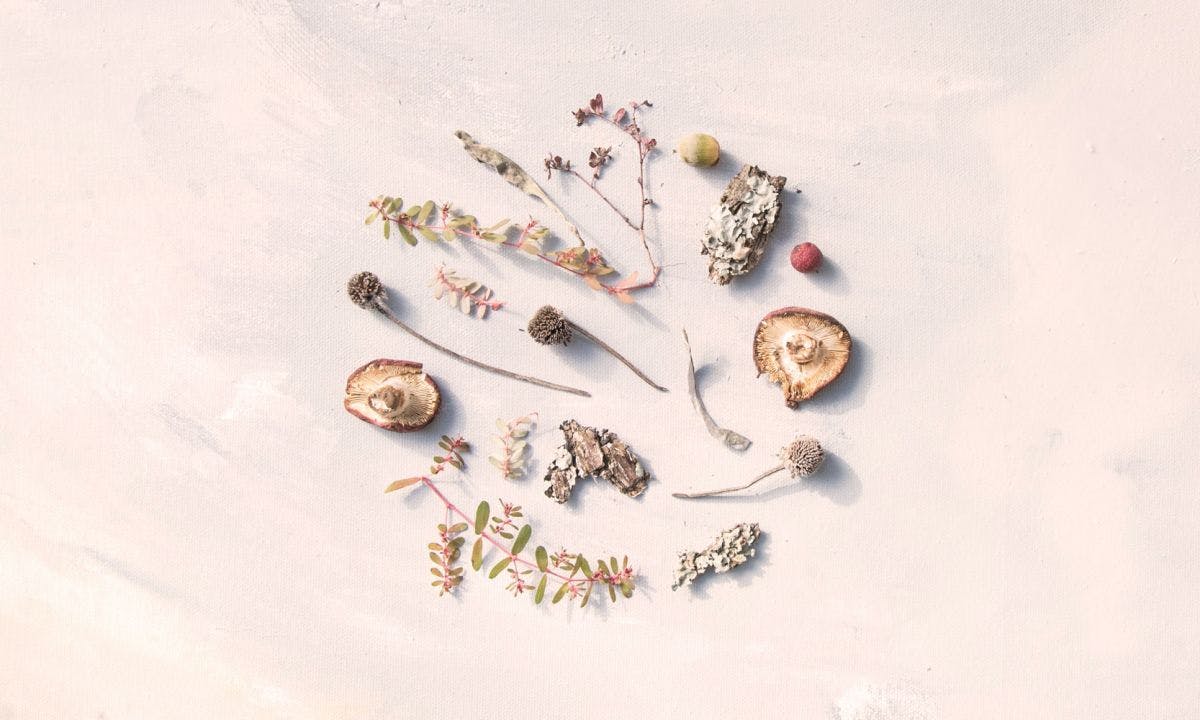cover-image