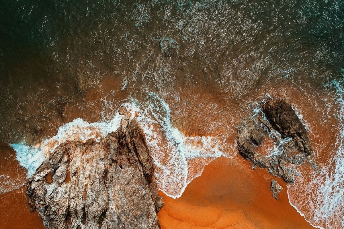 cover-image
