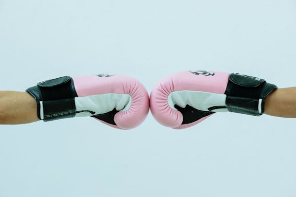 SAS ou SARL : les différences à connaître pour choisir son statut juridique