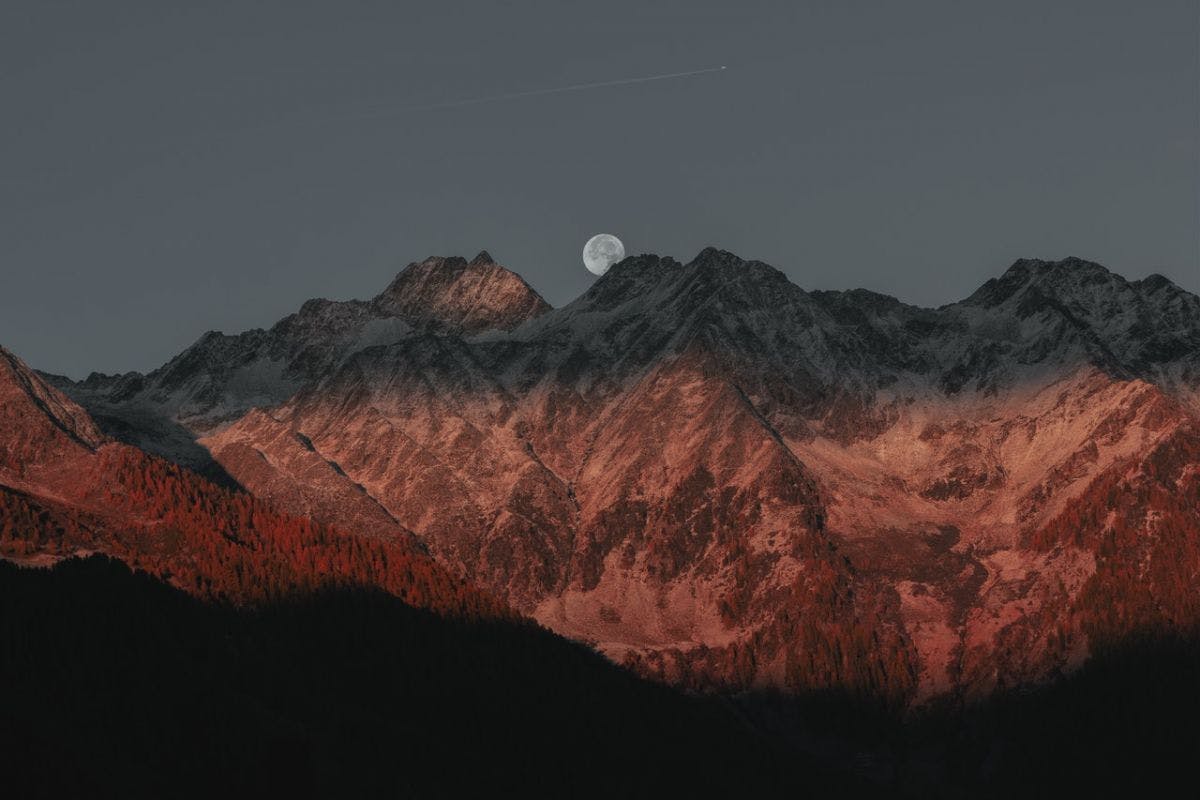 cover-image