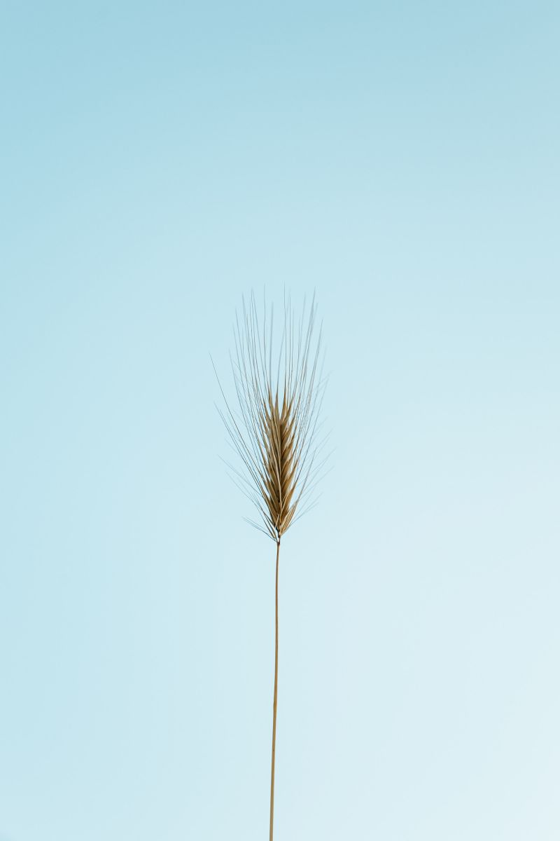 Président de SASU : 5 choses à savoir avant de vous verser un salaire