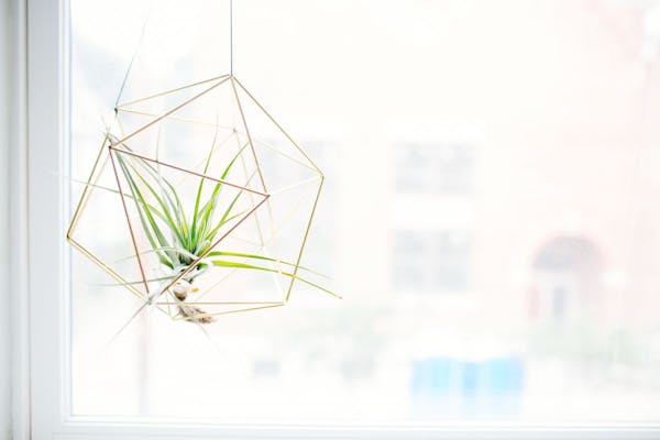 Comment obtenir le régime de la micro-entreprise ?