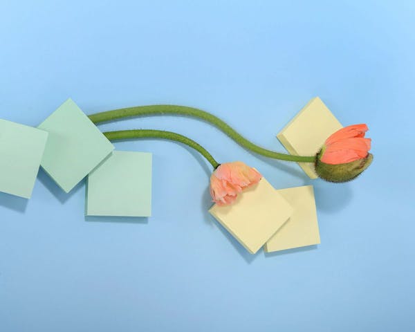 Tout savoir sur la TVA trimestrielle