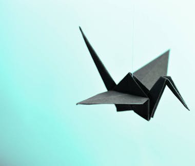 Qu'est-ce que les conventions réglementées ?