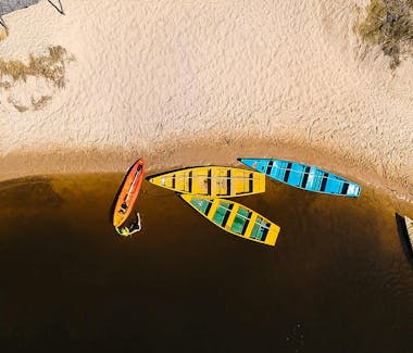 cover-image